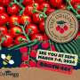 DelFrescoPure cherry tomatoes