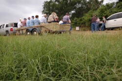 Forage_Workshop