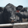 What is your definition of traceability?