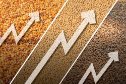 Prices are positive for grains.