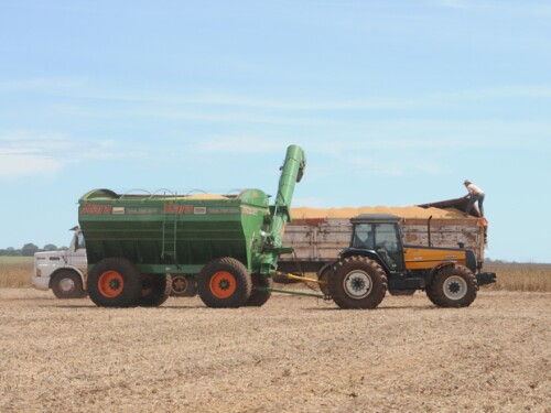 trucks in Brazil