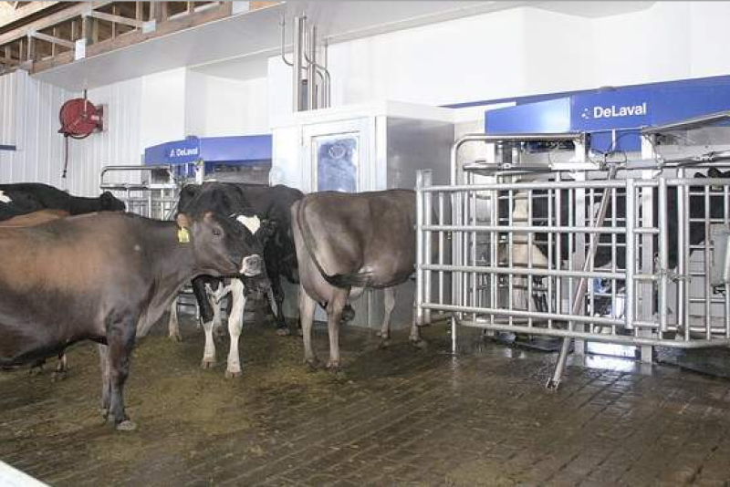 delaval