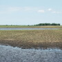 Waterway WOTUS