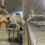 Before and after pictures of a barn interior.