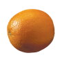 AE6643D2-7125-42DB-ABC5DA0947C87528.jpg
