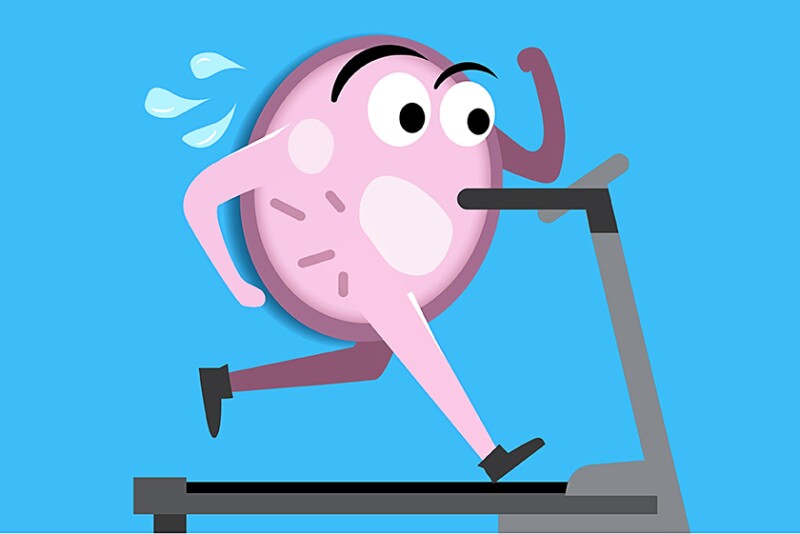 Cell Cultured Meat Workout