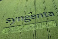syngenta_logo_in_field