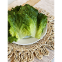 deli leaf