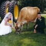 wedding day on a farm