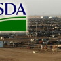 USDA feedyard