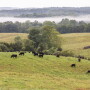Maplecrest Farms, Hillsboro, Ohio