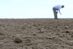 Farmer Checking Dirt
