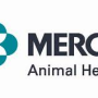 Merck announces DeSoto, Kan., expansion