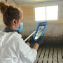 Animal caregiver uses telemedicine platform to communicate with a veterinarian in a simulated class activity