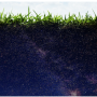 Soil is beginning to give up its many secrets on the role played by microbes in promoting sustainable food production. 