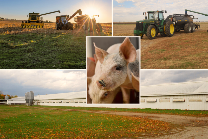 Scours In Piglets Fall Seasonal Shifts Trigger Rise in Swine Viral Activity - Pork Business