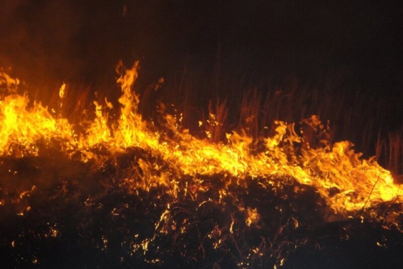 fire