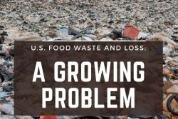 Food waste and loss