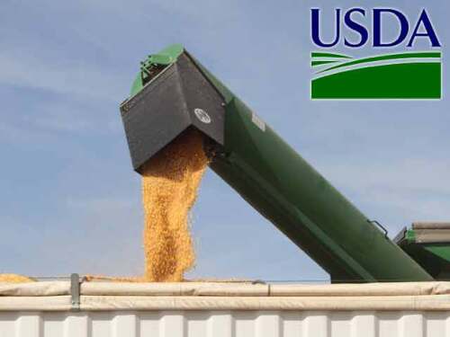 USDA-corn-unloading-harvest.jpg
