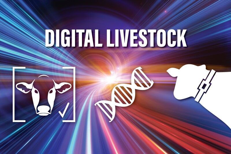 We broke the mega trends down to five key categories. Here are the mega trends for digital livestock.