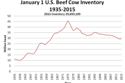 NASS-Beef-Cow-Invetory-Graph