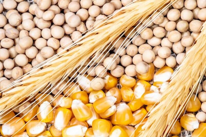 American farmers must navigate more challenges in 2022. Read how some are managing their risks. 
