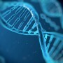 dna_9.jpg