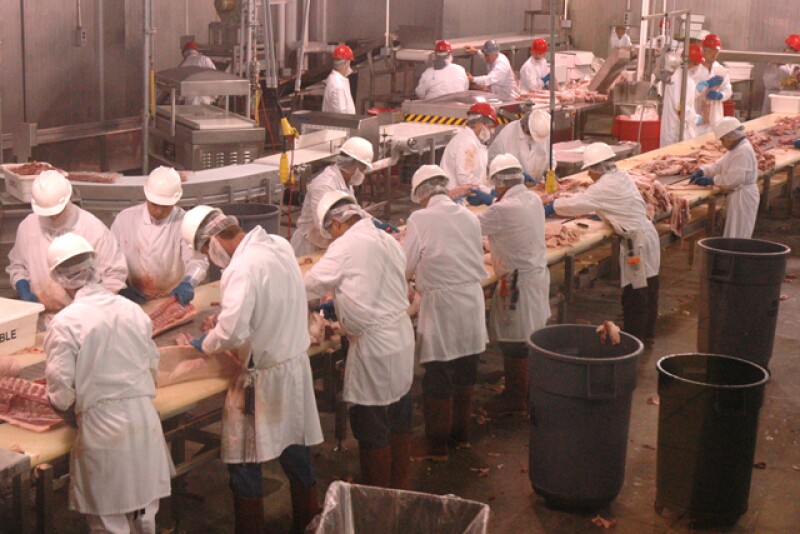 Pork planting plant