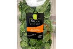 Image of the recalled product