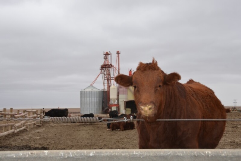 BT_Feedlot_Feed_Mill