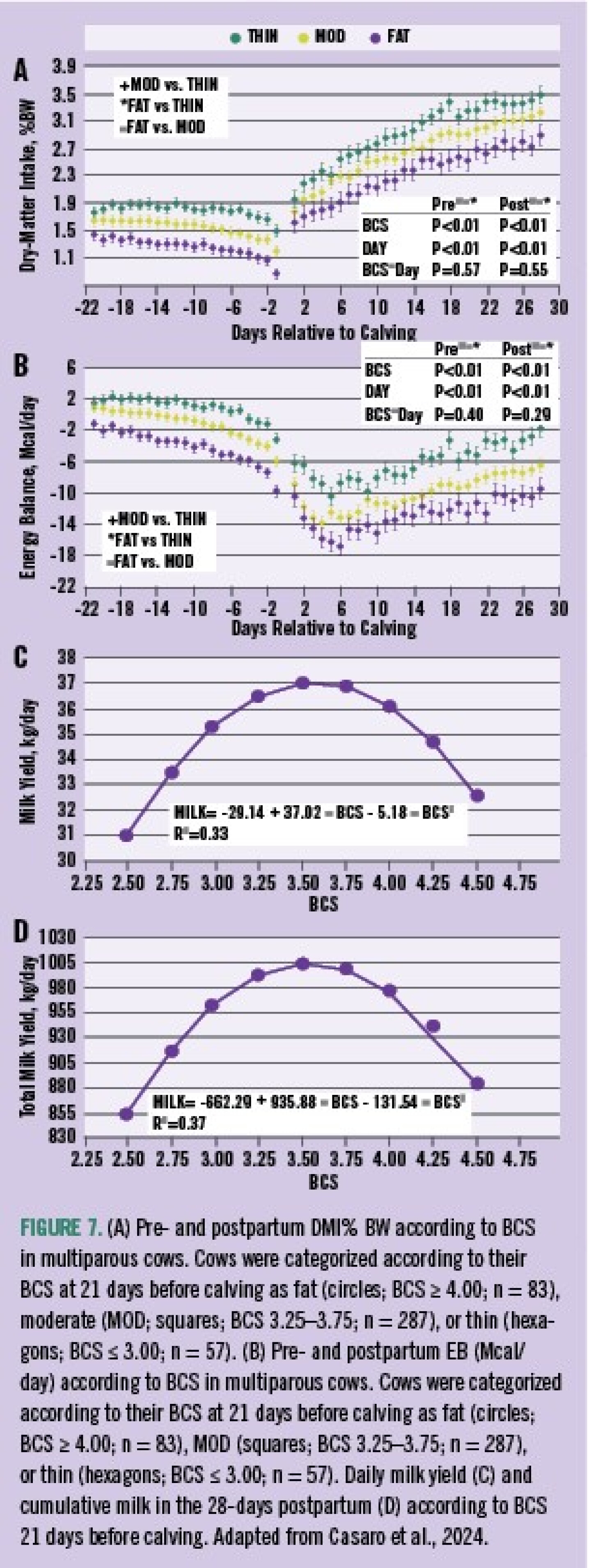 Managing Body Condition Score of Dairy Cows - Bovine Vet