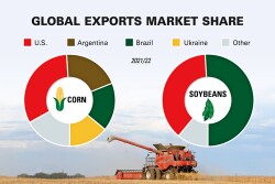 Global Market Share