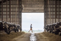 Wisconsin dairy farmer