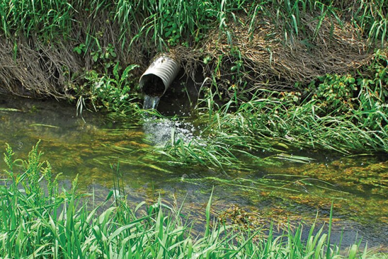 Preventing fertilizer from leaving your fields lowers production cost while increasing yield.