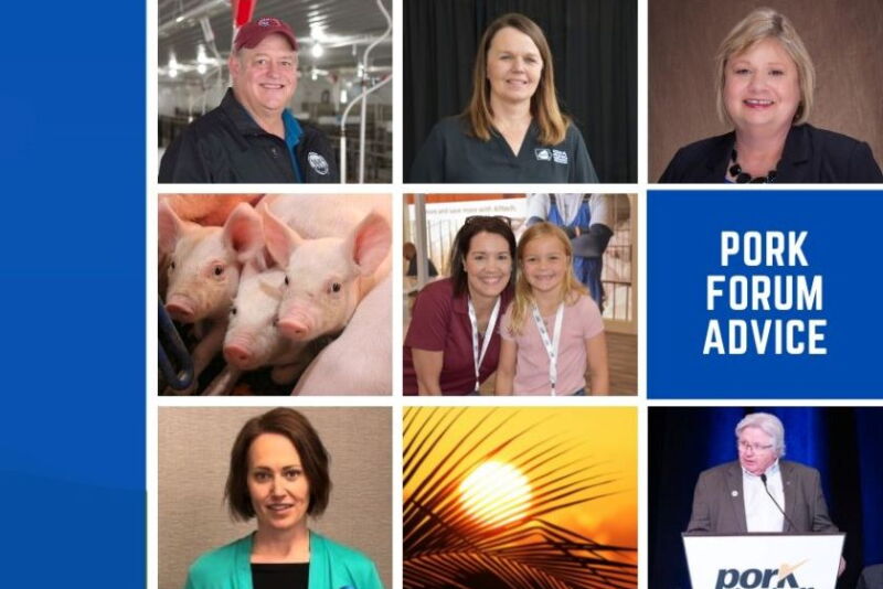 Pork Forum Advice