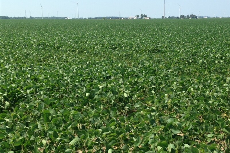 ohio_crops_again