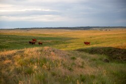 Colorado Ranch