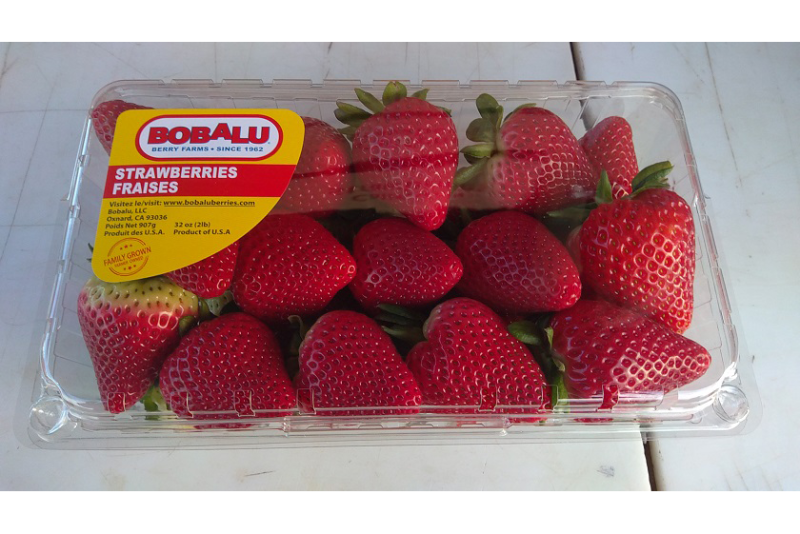 Bobalu