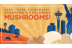 mushroom council 