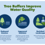 Tree-Buffers-Water-Quality.png