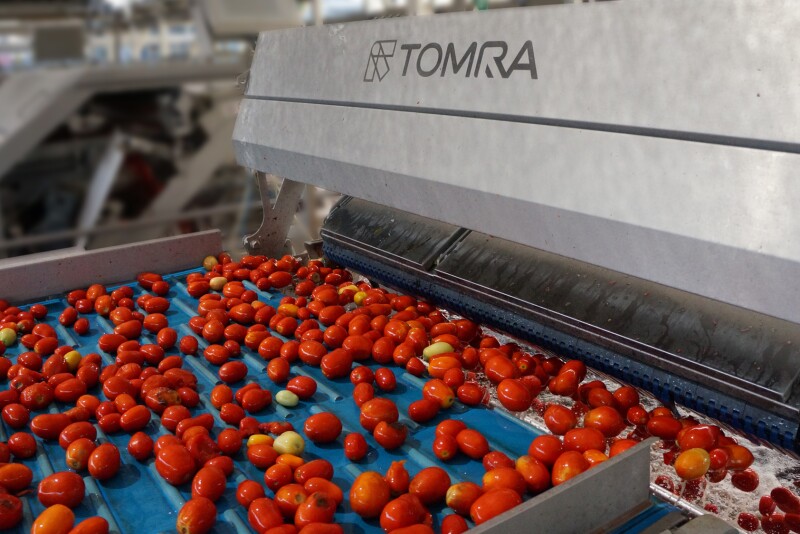 Tomra-tomatoes.jpg