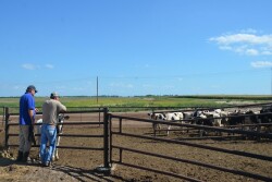 Dairy Farm Leadership_Wyatt Bechtel