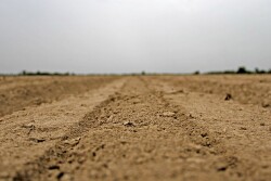 FARMLAND