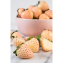 pineberries