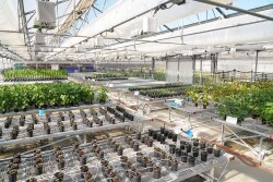 Joyn Bio was a joint venture between Ginkgo Bioworks and Leaps by Bayer and has about 75 employees in California and Boston.