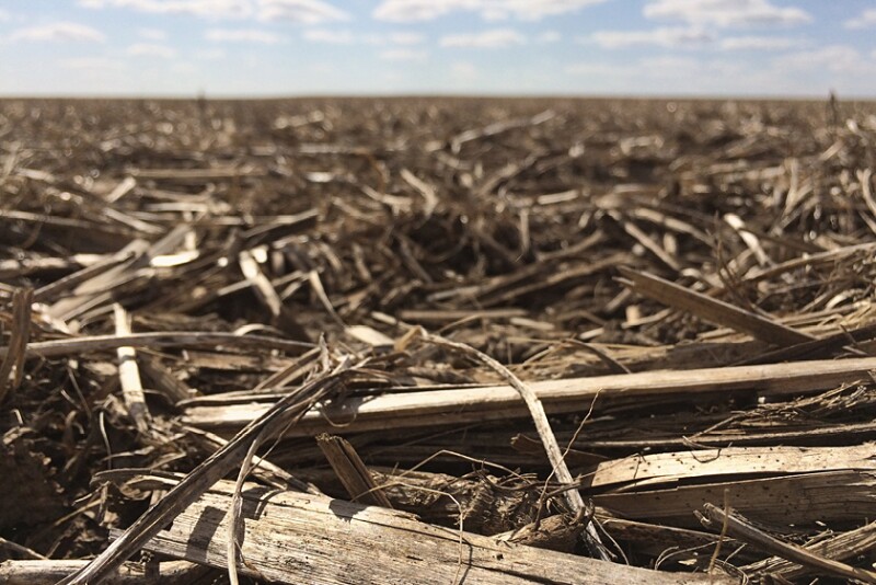 Reduced tillage supports carbon sequestration.