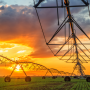irrigation system at sunset