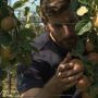 Brexit_Migrant_Workers.png
