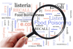 FDA food safety.png