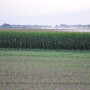 The approach to sustainable agronomy requires crop advisers and farmers use a systems approach, according to Lee Briese, a crop consultant in North Dakota.